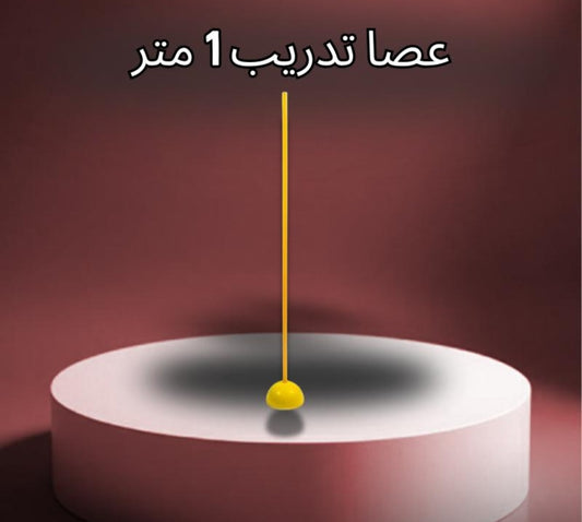 ١٢ عصا تدريب